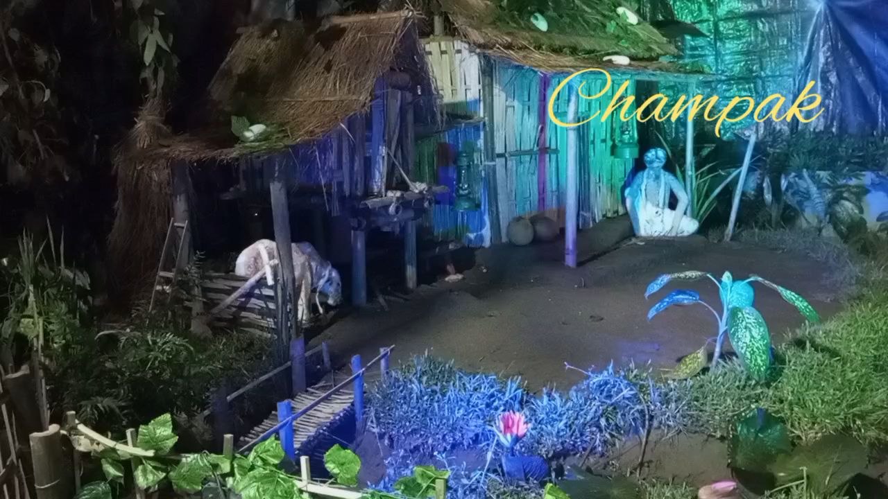 #puja