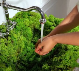 DIY ideas to turn your toilet into a heaven place on earth!