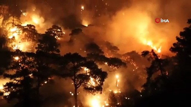 Muğla'da 3 ayrı noktada birden orman yangını: Evler tahliye edildi