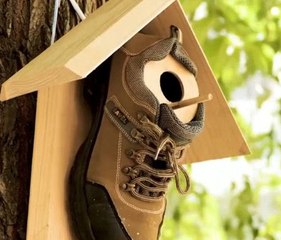 Transform Your Yard with Stunning Fall Landscaping Ideas 🍁