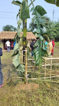 Kati Bihu Udjpon kora ati Drishya at Kharghuli Guwahati