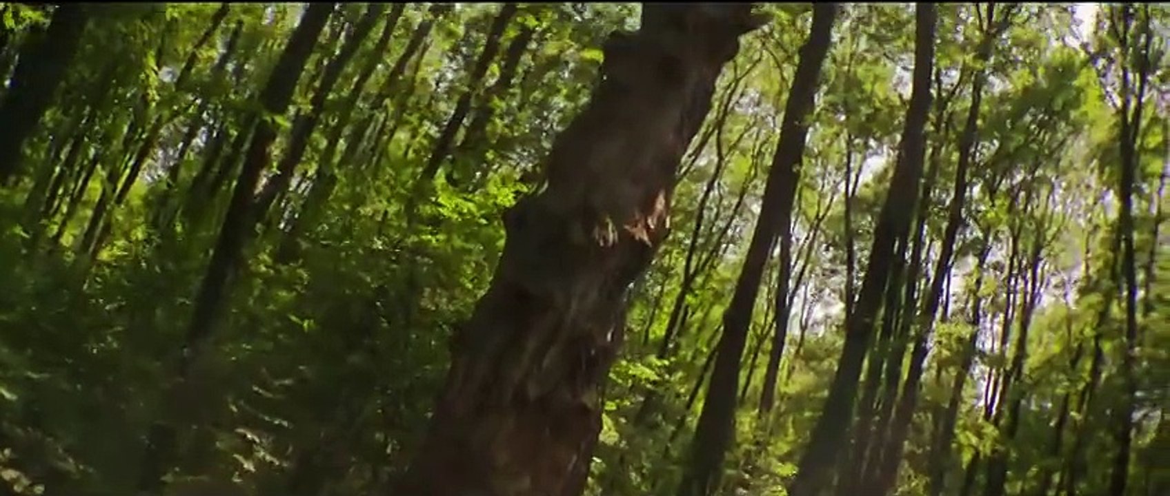 Bagman 2024 Theatrical Trailer video Dailymotion