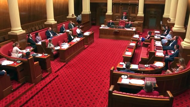 South Australian upper house narrowly votes down late-term abortion law amendments, with controversy between MP's