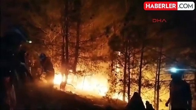 Muğla'da 3 bölgede orman yangını! Ekipler zamana karşı yarışıyor