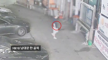 "가위 든 남자가..." 길거리서 시민 위협한 남성 검거 [앵커리포트] / YTN