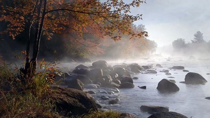 Unlock the Secret of Relaxation with Soul Calming Music!