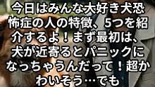 犬恐怖症の人の特徴5選