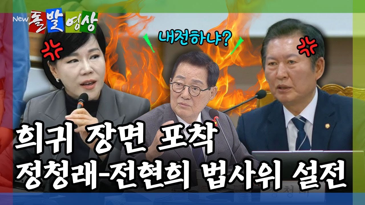 [돌발영상] 희귀 장면 포착 정청래 전현희 법사위 설전 / YTN