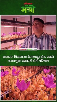 केसरमध्ये कशी होते ग्राहकांची फसवणूक
