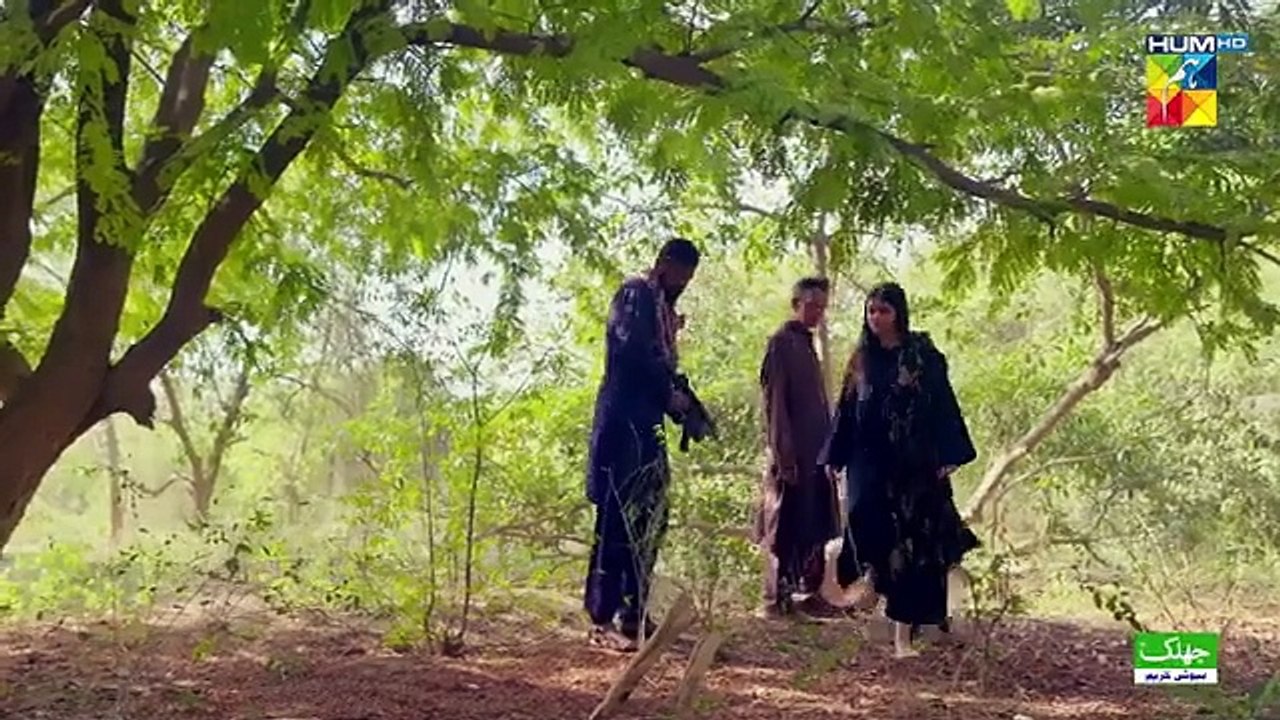 Teri_Chhaon_Mein_-_Ep_21_[CC]_-_17_Oct_2024_-_Jhalak_Beauty_Cream_[_Danish_Taimoor___Laiba_khurram_](360p)