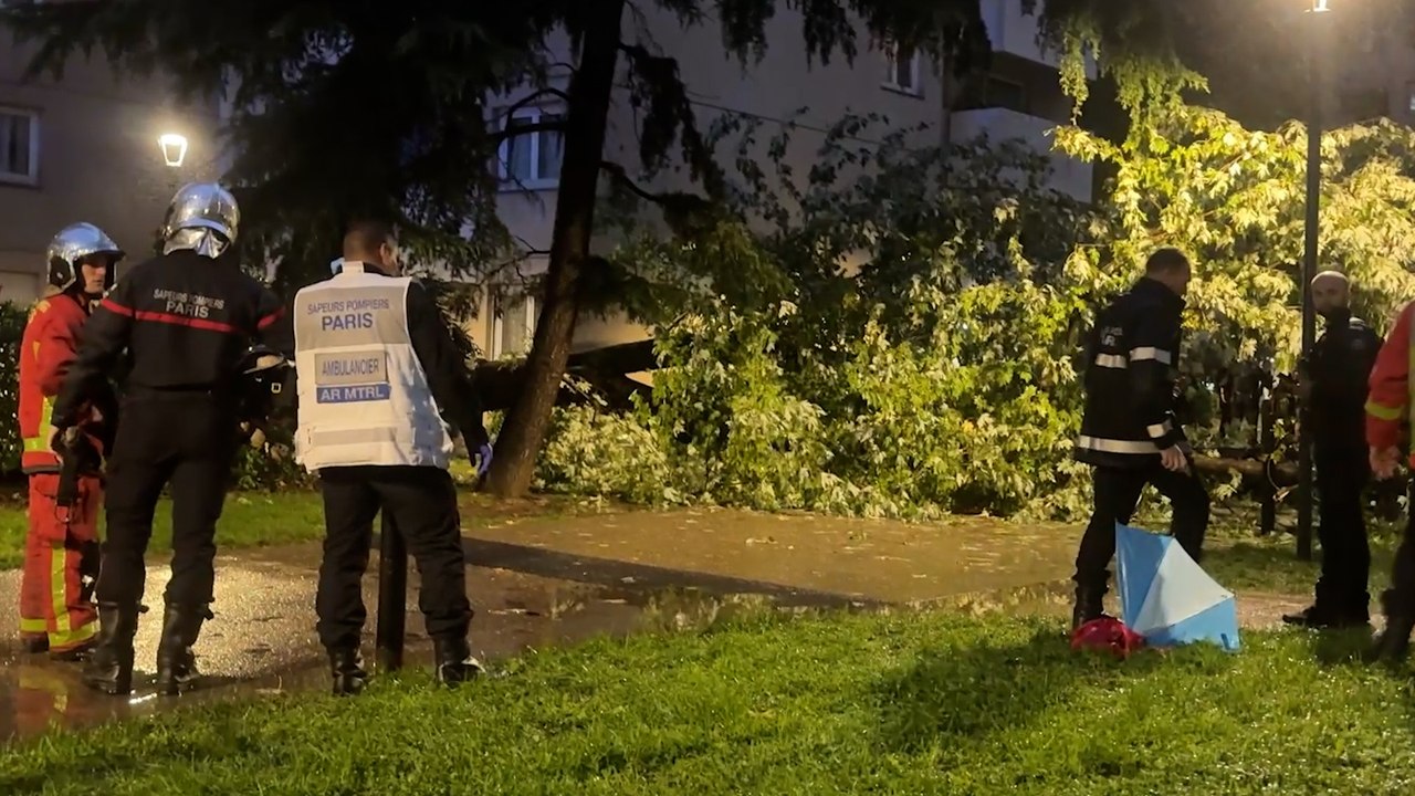 Paris : un homme meurt après la chute d’un arbre dans le XIXe arrondissement
