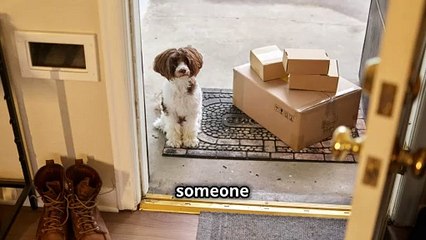 "Why Does My Dog Bark at the Doorbell ?" 