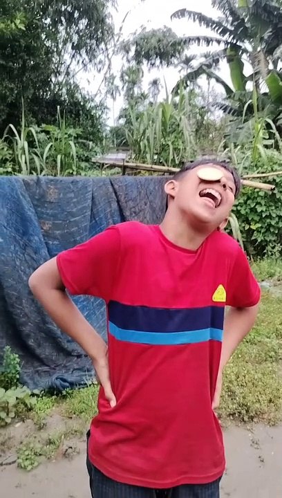 Who ate the biscuits  The game of eating biscuits