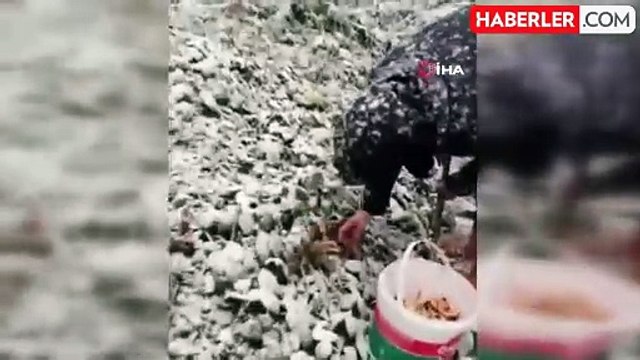 Keltepe Kayak Merkezi Sezonun İlk Karı ile Beyaz Örtüyle Kaplandı