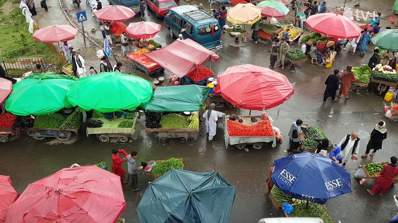 Bread & Roses: A Fight for Women's Rights Trailer DF