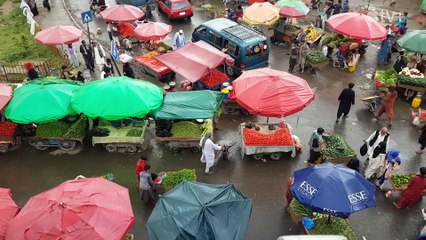 Bread & Roses: A Fight for Women's Rights Trailer OmeU