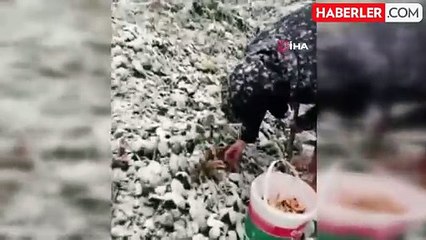 Keltepe Kayak Merkezi Sezonun İlk Karı ile Beyaz Örtüyle Kaplandı