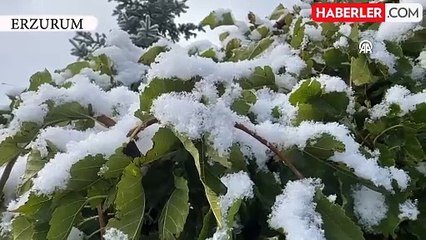 Sıcaklıklar dibe vurdu, birçok kent beyaza büründü