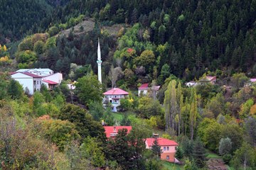 Zigana Dağı sonbahar renklerine büründü