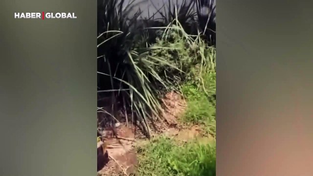 Aslan yattığı yerden belli olurmuş, Arjantinli teknik adam kiraladığı evi harabeye çevirdi!