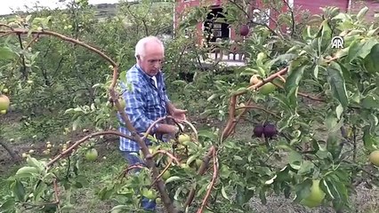 Komşu anlaşmazlığı 44 yıllık cerrahı üretici yaptı