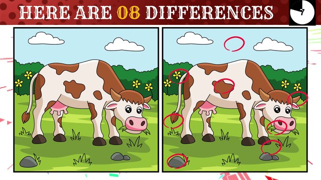 Only the Best Can Spot All 8 Differences! | Are You One of Them? [ find the difference ]
