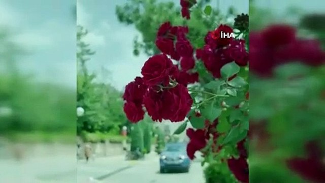 Yozgat Belediye Başkanı Kazım Arslan, Bolu Belediye Başkanı Tanju Özcan'ı yerin dibine soktu