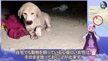 まだ幼い子犬は人間から傷つけられたまま路上に放置されたまま苦しみ続けていましたThe young puppy had been left suffering on the street after being hurt by humans.