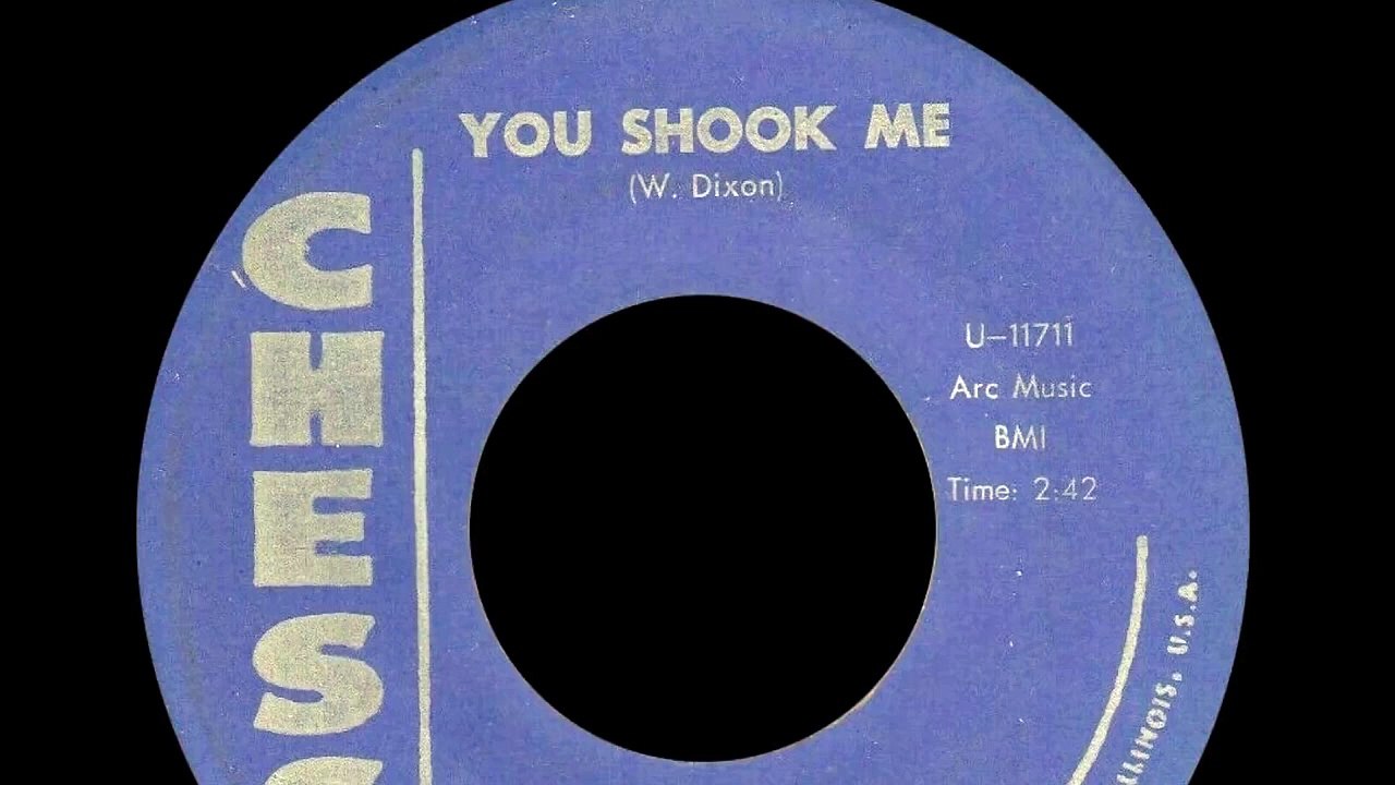 Muddy Waters Album Guide Video