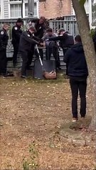 القبض على وشق بري يتجول بحرية في ضواحي شيكاغو