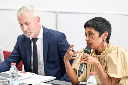 Ligne Baobab : Un couloir de bus qui va relier Ste-Suzanne à l'entrée Ouest de St-Denis