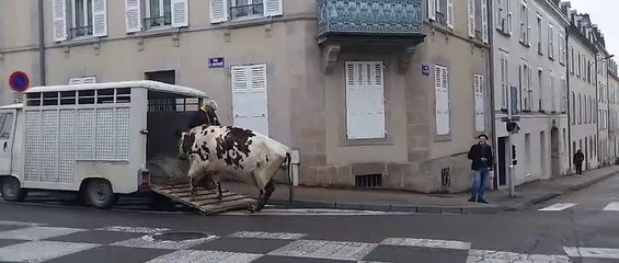 Mobilisation des agriculteurs de la Coordination Rurale