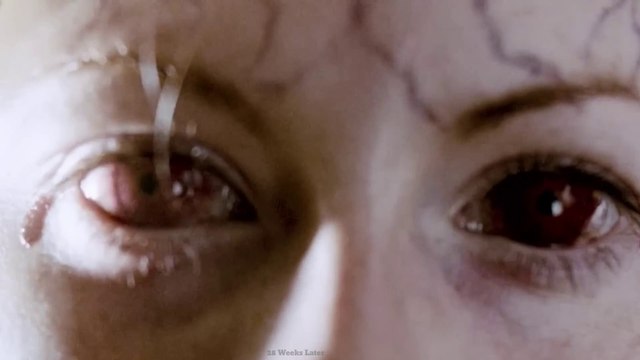 28 Weeks Later (2007) Film Explained in Hindi/Urdu | 28 Week Later Zombies Rage Summarized हिन्दी