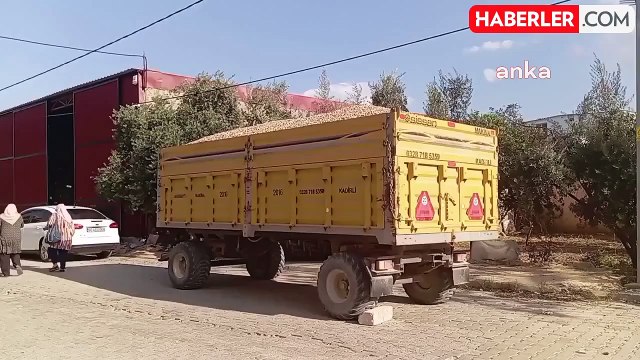 Yer Fıstığı Üreticisi Sosyal Medyadan Satışa Geçti