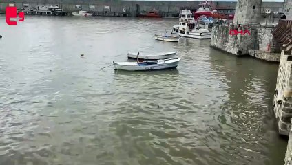 Zonguldak'ta deniz çamur rengini aldı