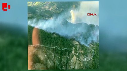 Muğla Menteşe'de orman yangını