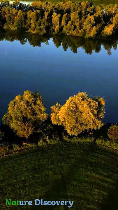 Relaxing Nature and relaxing Music  || Nature Discovery........#nature #relax #relaxing #shortvideo