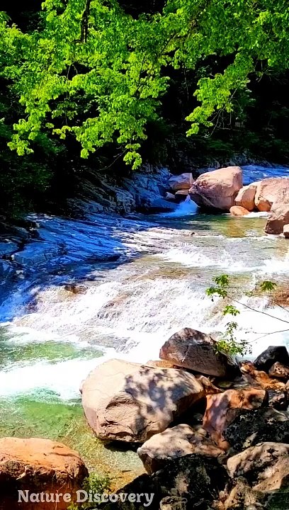 Relaxing Nature and relaxing Music  || Nature Discovery........#nature #relax #relaxing #shortvideo