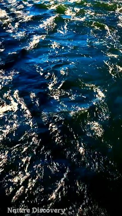 Relaxing Nature and relaxing Music  || Nature Discovery........#nature #relax #relaxing #shortvideo