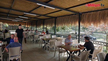 İnci Taneleri: Kader Arkadaşlığı ve Derin Bağlar 🤝