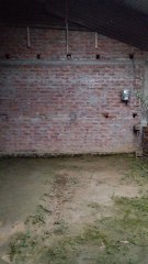 কি কৰিব উলাইু চাওক