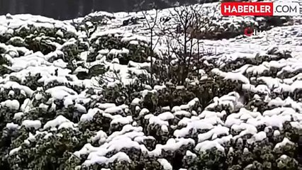 Abant Gölü'nün Yüksek Kesimlerinde Kar Yağışı Etkili Oldu