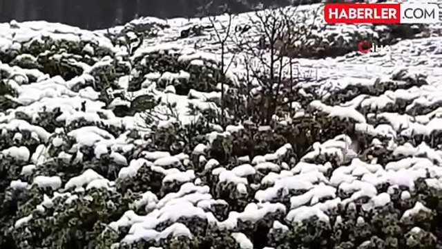 Abant Gölü'nün Yüksek Kesimlerinde Kar Yağışı Etkili Oldu