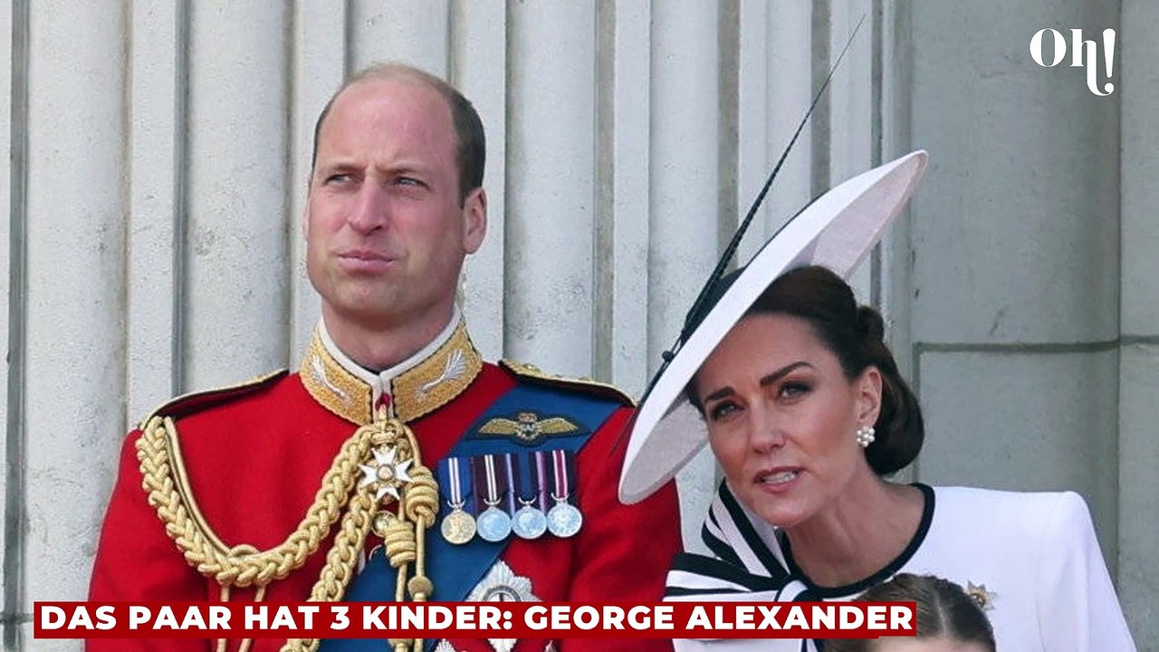 Prinz William Fakten