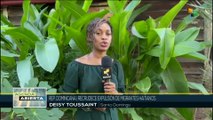 República Dominicana intensifica expulsión de migrantes haitianos
