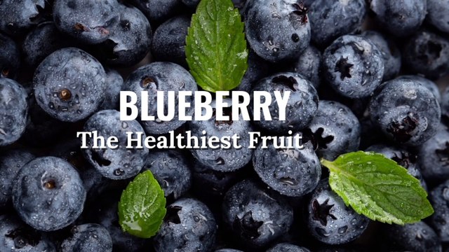 Why Blueberries Are a Superfood: Discover Their Amazing Benefits! #blueberry