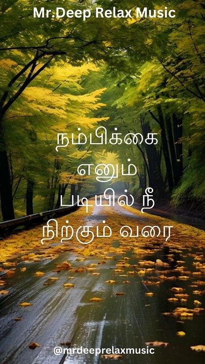 Meditation Music, Study, Calming Music  Whispers of Relaxation: Your Ultimate Chill Music