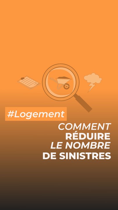 Logements indécents : Moisissures sans frontières