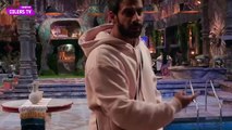 Bigg Boss 18 LIVE: Vivian Ka Phuta Karanveer Par Gussa, Vivian Ne Kiya Avinash Ko Support