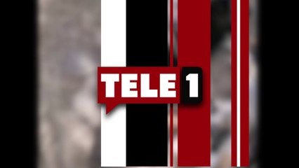 Ankara'da yavru köpekler işkence edilerek öldürüldü!